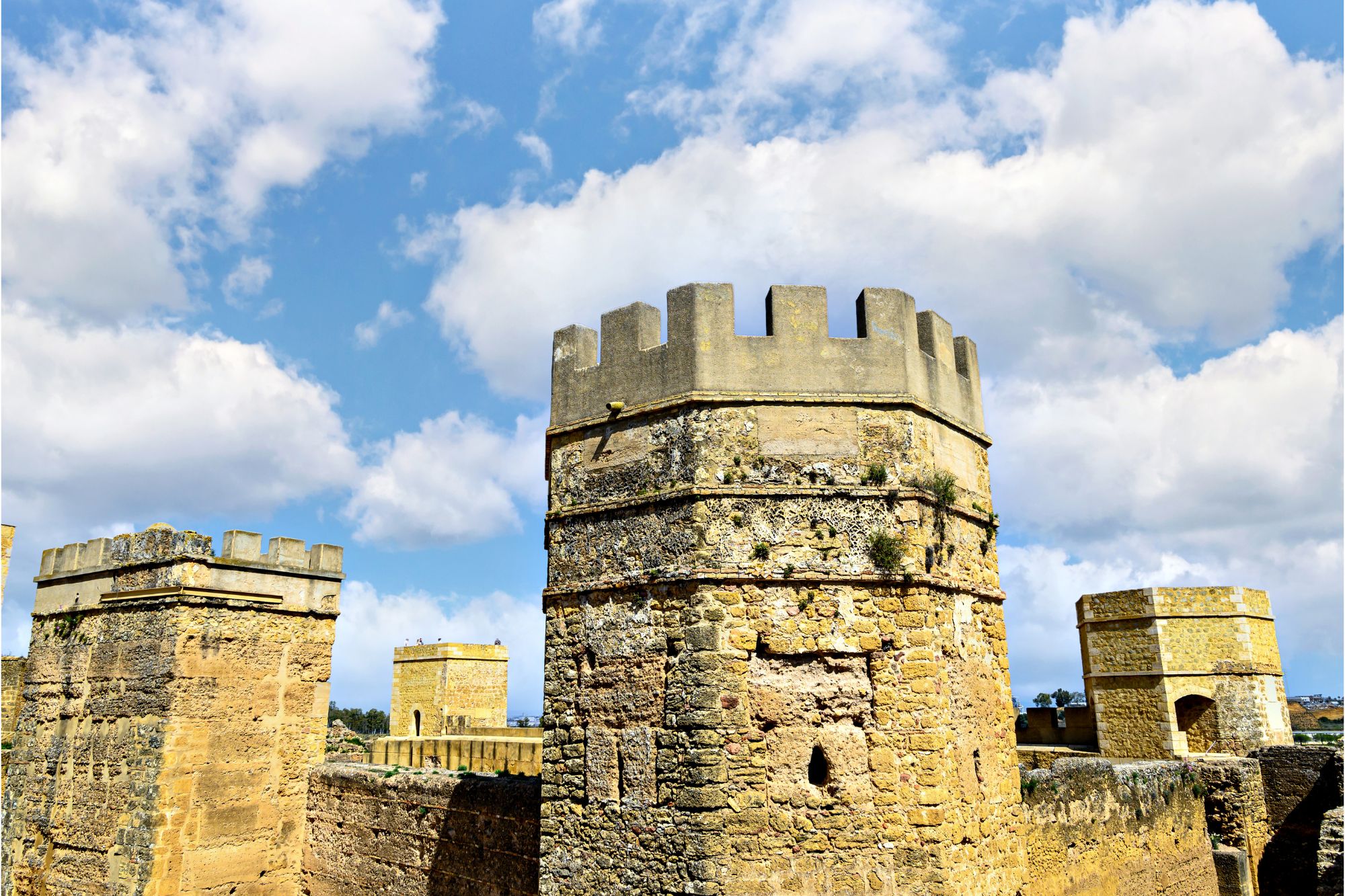 Tenemos la casa de sus sueños en Alcalá De Guadaira. Grupo Vivit Asesores S.L. en Alcalá De Guadaira