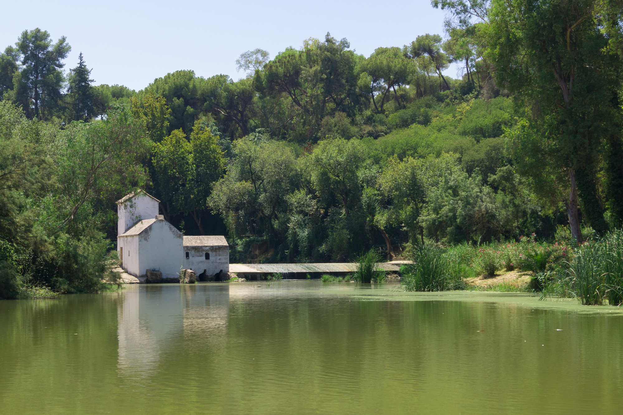 Descubra nuestra gran oferta inmobiliaria Alcalá De Guadaira. Grupo Vivit Asesores S.L. en Alcalá De Guadaira